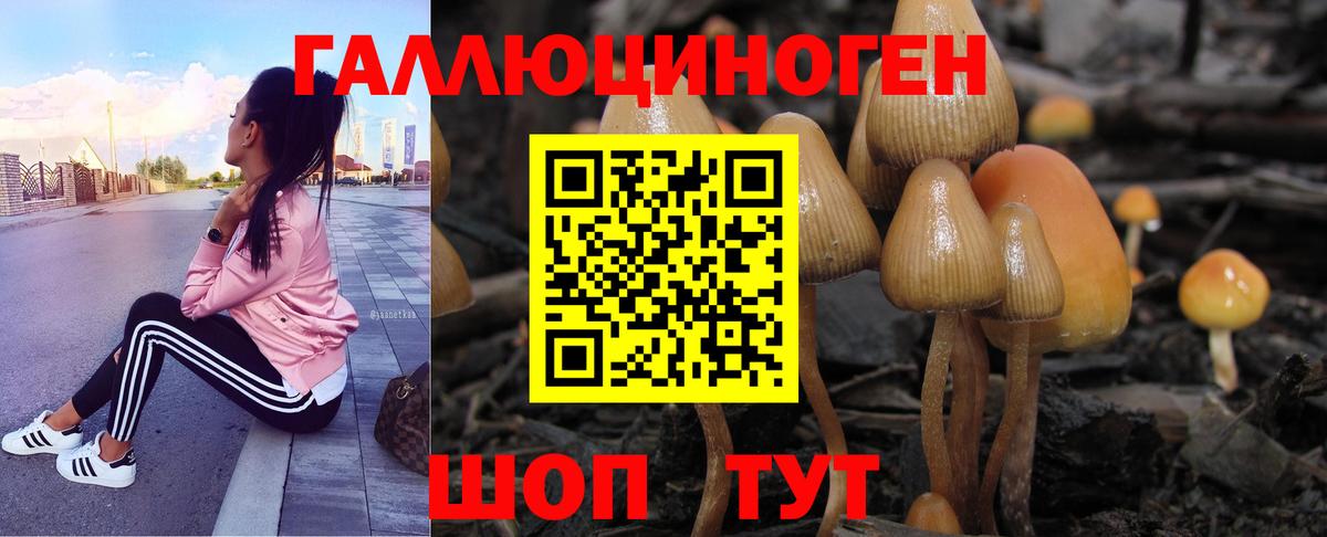 Дивногорск  Галлюциногенные грибы GOLDEN TEACHER  Вход с VPN  где можно купить наркотик  Псилоцибиновые грибы Psilocybe 