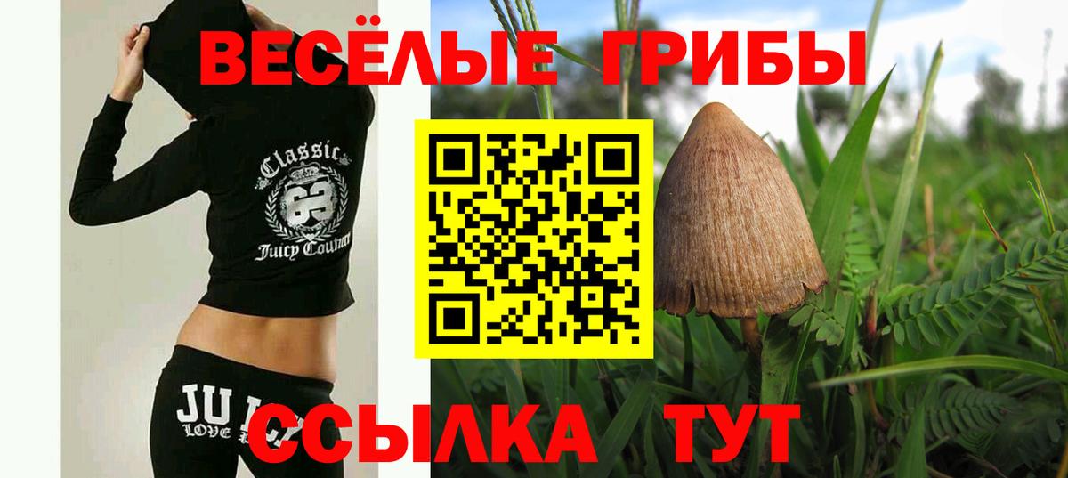 Псилоцибиновые грибы мухоморы Дивногорск
